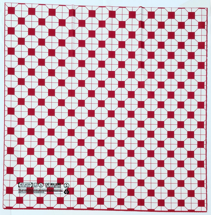 CAT-WALKING SERIES "NO LIMIT" HK CULTURAL ECO SPORTS TOWEL