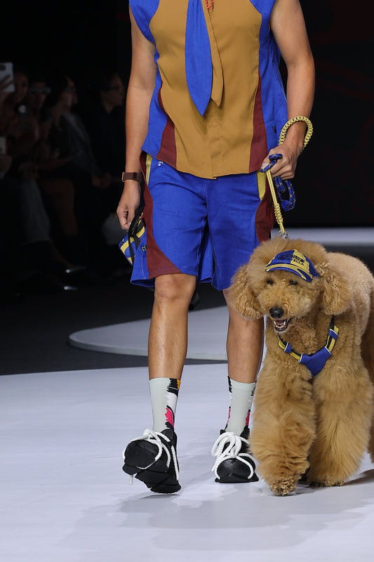 PULSY BOUNCY STAGE COLOR-BLOCKED SHORTS